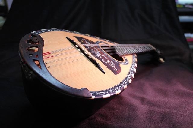mandolin