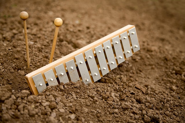 xylophone