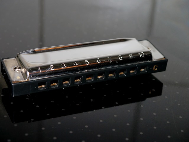 harmonica
