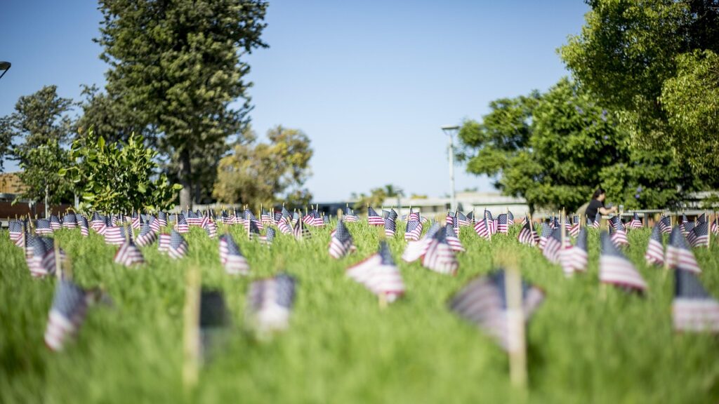 flags, grass, american, patriotism, 9-11, 9 11, 9, 11, nature, september