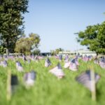 flags, grass, american, patriotism, 9-11, 9 11, 9, 11, nature, september