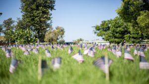 flags, grass, american, patriotism, 9-11, 9 11, 9, 11, nature, september