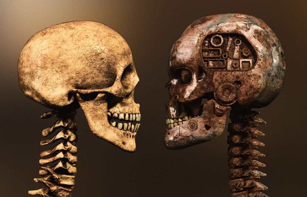 skull, skull and crossbones, spine, cervical vertebrae, bone, human, skeleton, metal, cyborg, compared to, skull, spine, spine, spine, cyborg, cyborg, cyborg, cyborg, cyborg