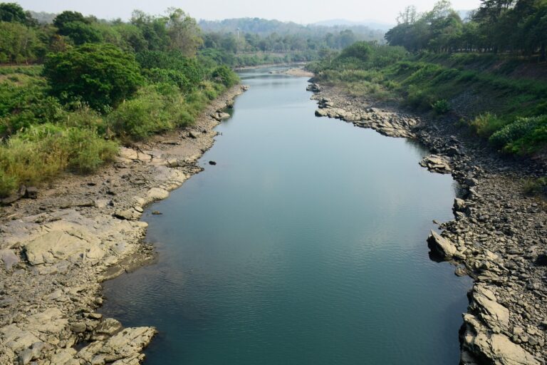 river, drain, water, root canal, the alimentary canal, ear canal, auditory canal, birth canal, anal canal, irrigation canal, spinal canal, nature, semicircular canal, central canal