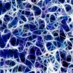 annoy, network, nervous system, management, connections, nerve plexus, brain, stimulus transmission control center, steering, neurons, synapse, signal, pulse, excitement, braid, nerve cord, anatomy, nervous system, nervous system, nervous system, nervous system, brain, brain, brain, brain, brain, neurons, neurons, neurons, synapse