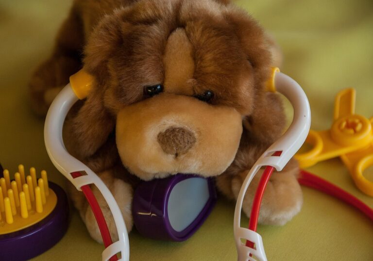 dog, pet, veterinary, animal, stethoscope, care