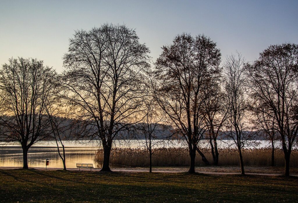 dusk, lake, olsztyn, sunset, landscape, mood, color, season, poland, spacer, park, nature, outdoors, scenic, olsztyn, olsztyn, olsztyn, olsztyn, olsztyn