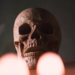 skull, head, halloween, skeleton, bone, scary, creepy, gothic, dark