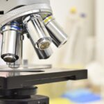 microscope, laboratory, research, lab, objective lens, study, science, closeup, microscope, microscope, microscope, microscope, microscope, laboratory, laboratory, lab, lab
