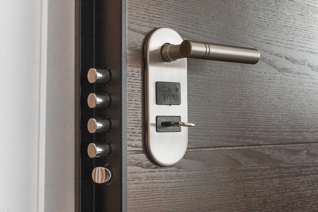 door, accessibility, lock, doorway, classical, no, apartment, key, white, business, brown, privacy, leaving, life, entering, entrance, styled, open, household, handle, technology, security, building, colored, equipment, modern, effortless, system, furniture, suite, room, safety, design, gold, keyhole, interior, inserting, convenience, home, backgrounds, house, style, domestic, indoors, residential, unlocking, metal, gray background, gray business, gray home, gray technology, gray house, gray life, gray building, gray room, gray leaf, gray security, gray design, gray door, gray company, gray safety, gray color, gray key, gray leaves, gray metal, gray interior, door, door, door, lock, lock, lock, lock, lock, privacy, security, safety