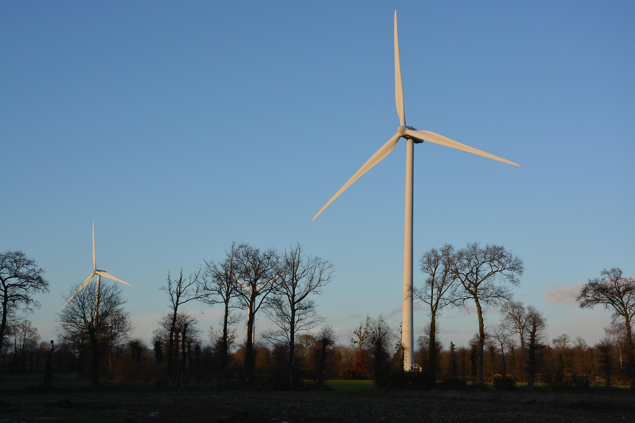 wind turbines, energy, device, power, kinetic energy, electrical energy, renewable