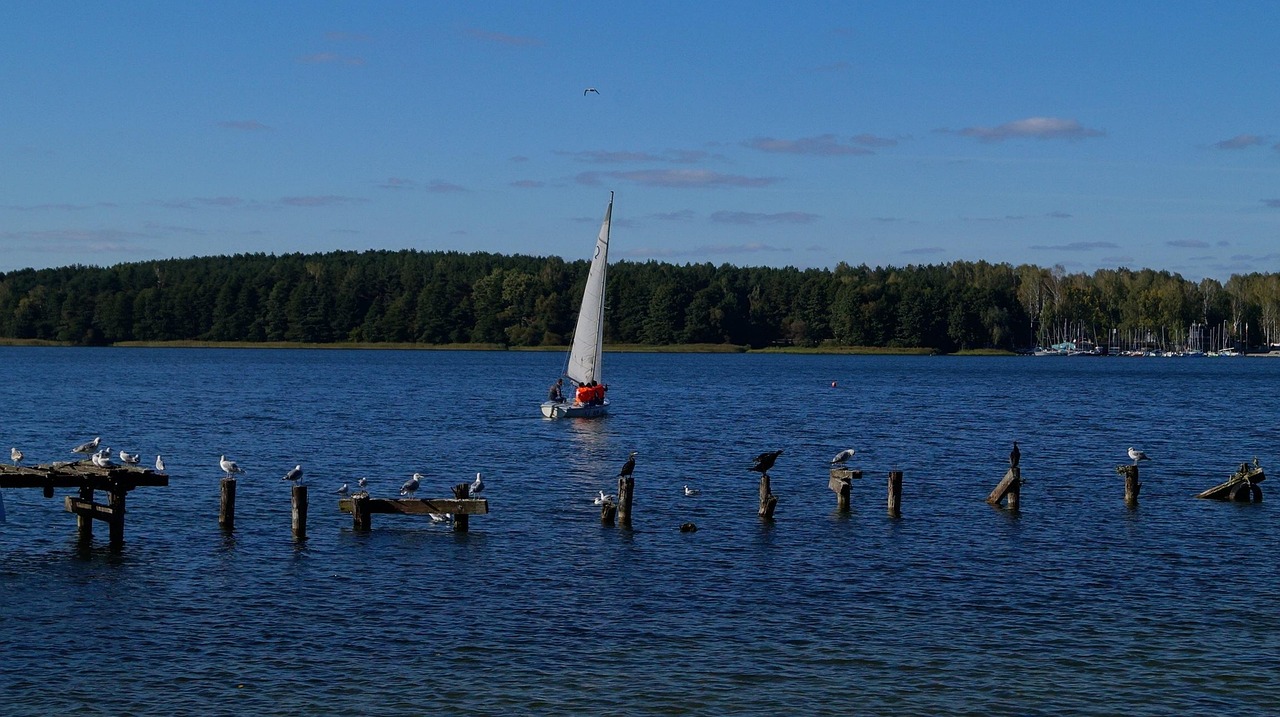 olsztyn, warmia, nature, autumn, spacer, boat, birds, sailors, sailing, lake, mood, landscape, water, scenery, olsztyn, olsztyn, olsztyn, olsztyn, olsztyn, warmia