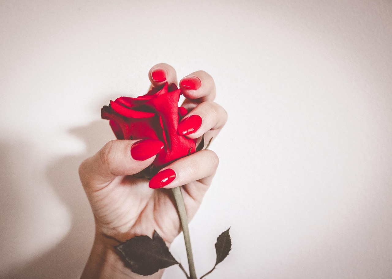 red, nature, nails, rose flower, flower wallpaper, manicure, girl, nails manicure, woman, glamour, polish, color, flower background, nail polish, make-up, beautiful flowers, rose, flower