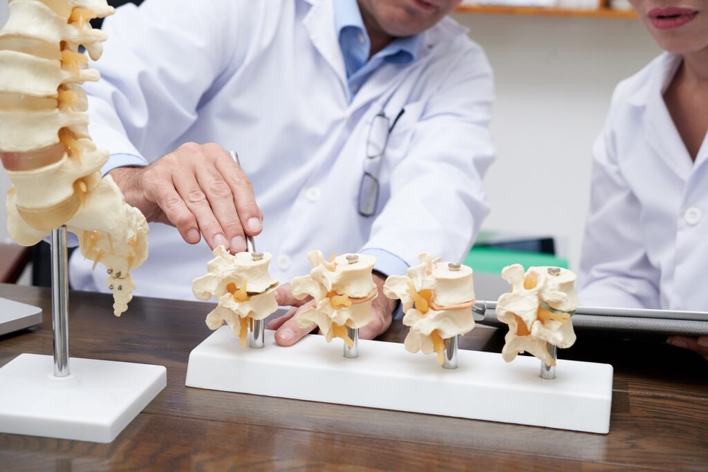 doctor, surgeon, orthopedics, spine, medical models, group of doctors, medical consultation, spine implants, orthopedic tools, medical education, white coat, medical presentation, hospital, medical science, doctor's workplace, conversation, bone analysis, back, educational aid