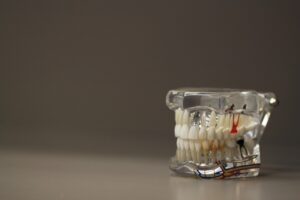dentistry, dentals, teeth, model, jaw, oral, care, tooth, brown model, brown teeth, brown care, dentistry, dentistry, teeth, teeth, tooth, tooth, tooth, tooth, tooth