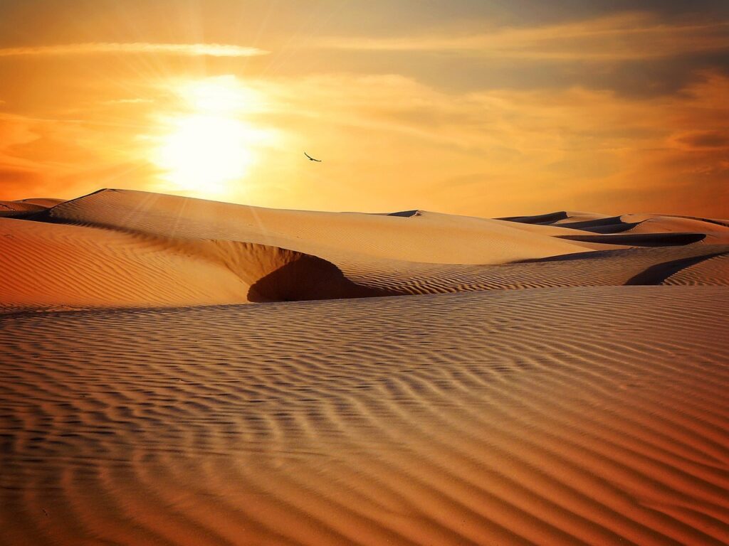 desert, sand, barren, nature, dry, arid, barren landscape, sand dunes, landscape, sun, sunset, dunes, drought, dehydrated