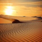 desert, sand, barren, nature, dry, arid, barren landscape, sand dunes, landscape, sun, sunset, dunes, drought, dehydrated