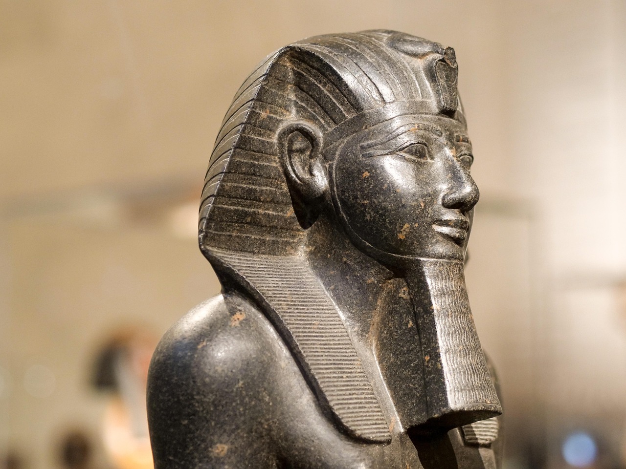 egypt, pharaoh, thutmose iii, thumosis, artifact, museum, egyptian museum, cairo, statue, egypt, egypt, egypt, thutmose iii, thutmose iii, thutmose iii, thutmose iii, thutmose iii, artifact, artifact, artifact, egyptian museum